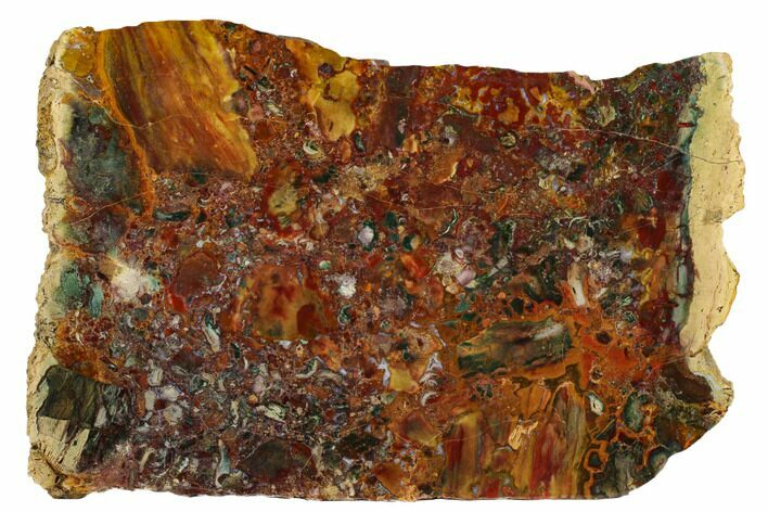 Colorful, Polished Jasper Slab - Marston Ranch, Oregon #184716